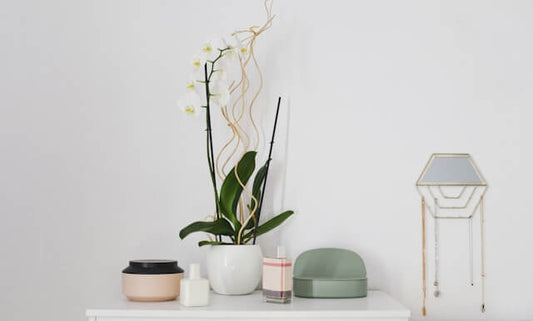 Unveiling the Art of Elegance: Elevate Your Home with Decor Accessories